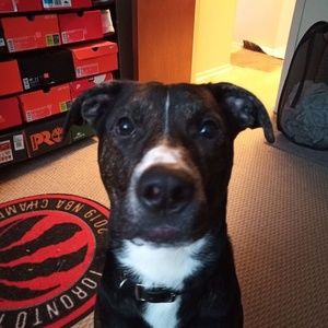 Meet your Posher, Phil